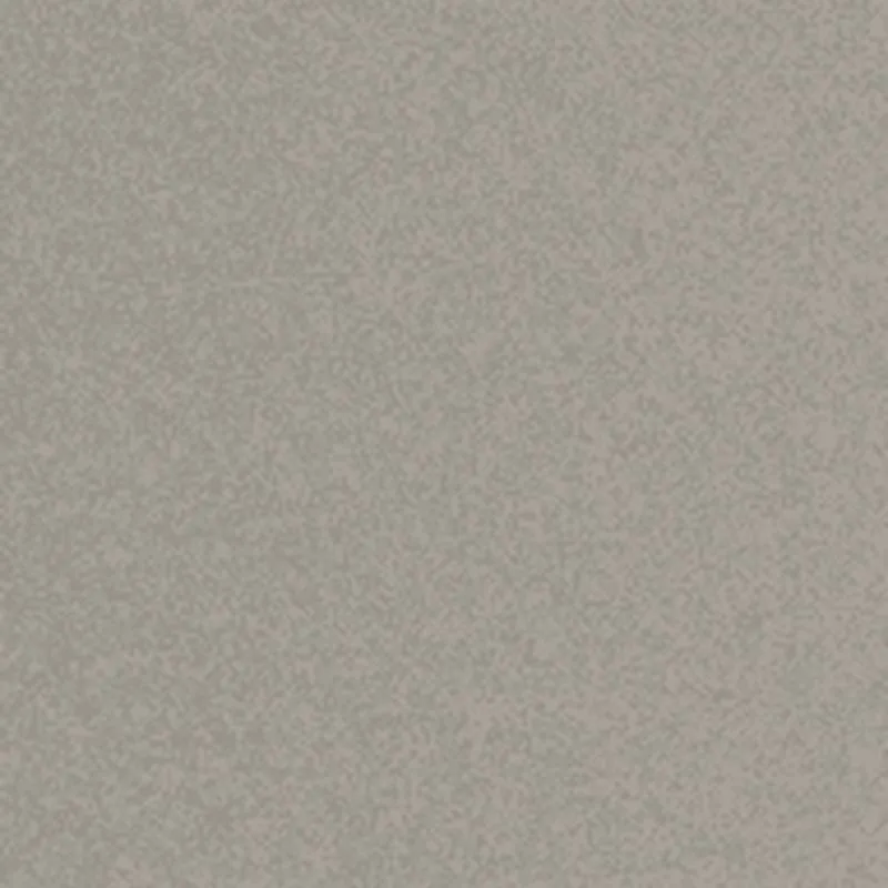Serene Grey P5005